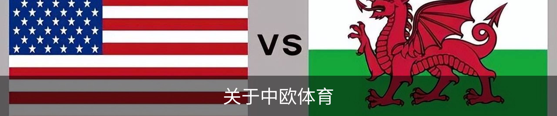 关于中欧体育